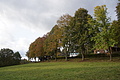 DSC06720 - Bernhard Saalfeld