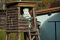 DSC06721 - Bernhard Saalfeld