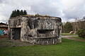 DSC06724 - Bernhard Saalfeld
