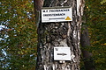 DSC06749 - Bernhard Saalfeld