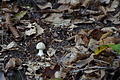 DSC06753 - Bernhard Saalfeld