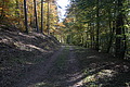 DSC06755 - Bernhard Saalfeld