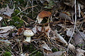DSC06757 - Bernhard Saalfeld