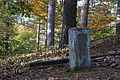 DSC06758 - Bernhard Saalfeld