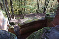 DSC06770 - Bernhard Saalfeld
