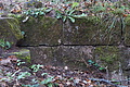 DSC06771 - Bernhard Saalfeld