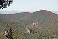 DSC06772 - Bernhard Saalfeld