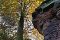 DSC06773 - Bernhard Saalfeld