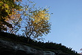 DSC06775 - Bernhard Saalfeld