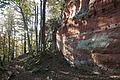 DSC06776 - Bernhard Saalfeld