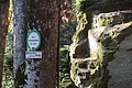 DSC06777 - Bernhard Saalfeld