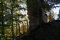 DSC06779 - Bernhard Saalfeld