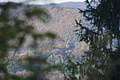 DSC06780 - Bernhard Saalfeld