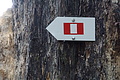 DSC06781 - Bernhard Saalfeld