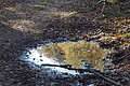 DSC06783 - Bernhard Saalfeld