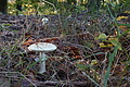 DSC06789 - Bernhard Saalfeld