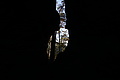 DSC06791 - Bernhard Saalfeld