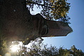 DSC06794 - Bernhard Saalfeld
