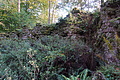DSC06799 - Bernhard Saalfeld