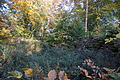 DSC06800 - Bernhard Saalfeld