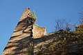 DSC06804 - Bernhard Saalfeld