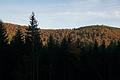DSC06820 - Bernhard Saalfeld