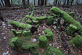 DSC06824 - Bernhard Saalfeld