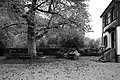 L1001793 - Bernhard Saalfeld