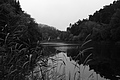 L1001802 - Bernhard Saalfeld