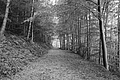 L1001814 - Bernhard Saalfeld