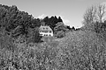 L1001815 - Bernhard Saalfeld
