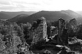 L1001831 - Bernhard Saalfeld