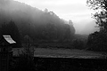 L1001838 - Bernhard Saalfeld