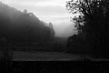 L1001839 - Bernhard Saalfeld