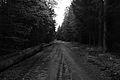 L1001853 - Bernhard Saalfeld