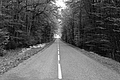 L1001854 - Bernhard Saalfeld