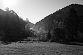 L1001868 - Bernhard Saalfeld