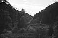 L1001877 - Bernhard Saalfeld