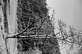 L1001914 - Bernhard Saalfeld
