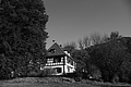 L1001915 - Bernhard Saalfeld
