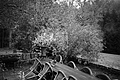 L1001959 - Bernhard Saalfeld