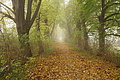 DSC01033 - Bernhard Saalfeld