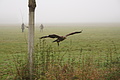 DSC01045 - Bernhard Saalfeld