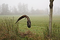 DSC01049 - Bernhard Saalfeld