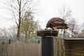 DSC01086 - Bernhard Saalfeld