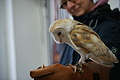 DSC03459 - Bernhard Saalfeld