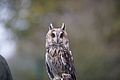 DSC03467 - Bernhard Saalfeld