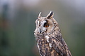 DSC03471 - Bernhard Saalfeld