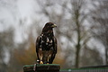 DSC03477 - Bernhard Saalfeld