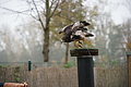 DSC03479 - Bernhard Saalfeld